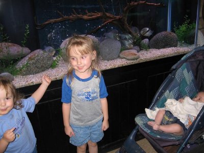 IMG_3245.JPG
