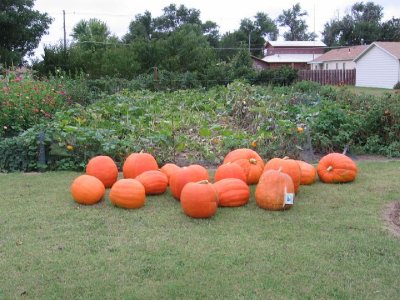 IMG_3352.JPG