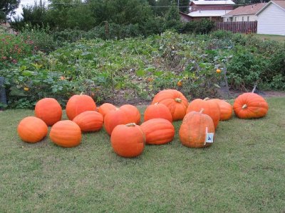 IMG_3353.JPG