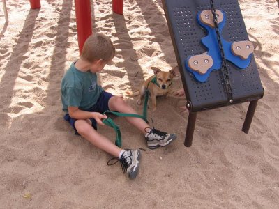 IMG_3381.JPG