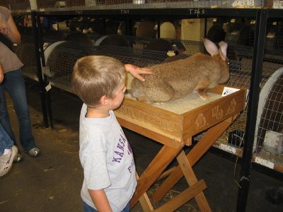 IMG_3404.JPG