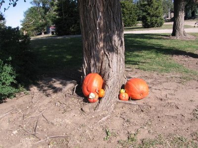 IMG_3450.JPG