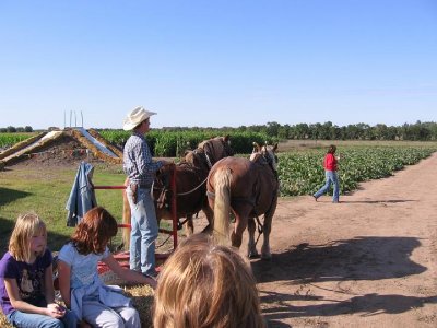 IMG_3484.JPG