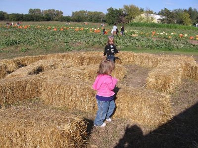 IMG_3489.JPG