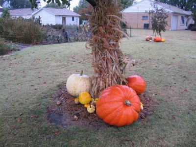 IMG_3529.JPG