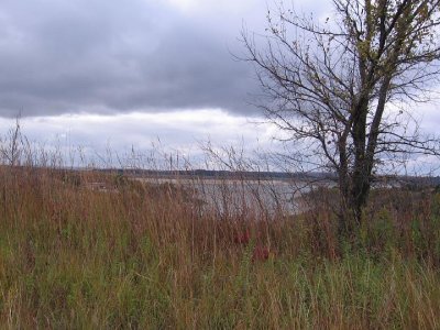 IMG_3534.JPG