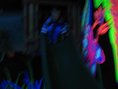 IMG_3558.JPG