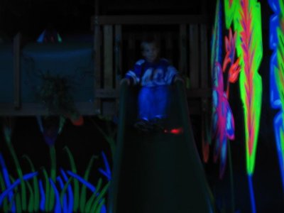IMG_3559.JPG