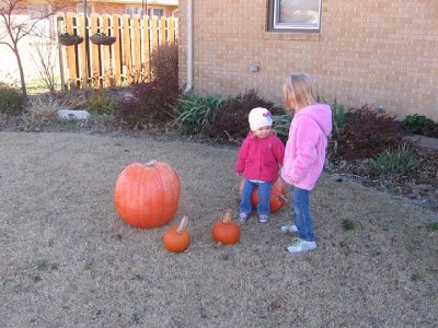 IMG_3592.JPG