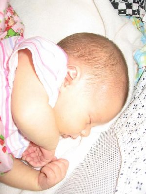 IMG_0528.JPG