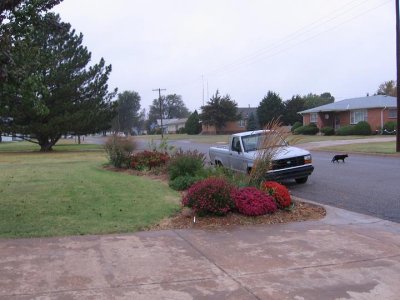 IMG_0548.JPG