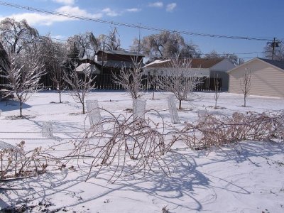IMG_0618.JPG