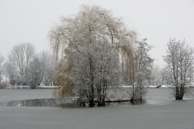 Fernelmont the pond