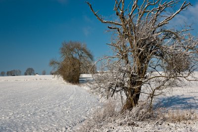 Near Mozet