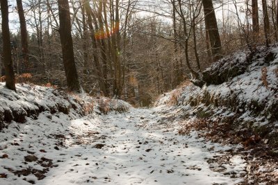 Around Haltinne