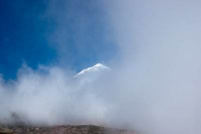 Teide through the sea of clouds