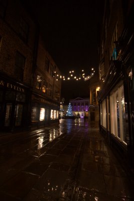 The Mansion House And Christmas Tree