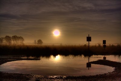 Foggy Morning Sunrise
