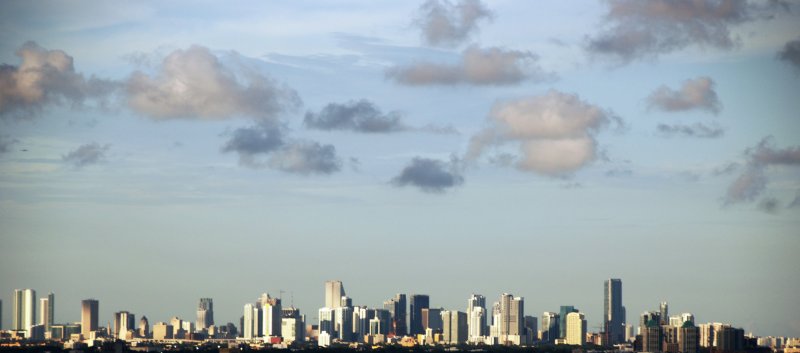 Miami Skyline