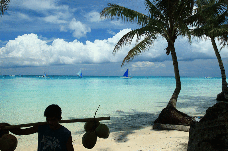 Coconut man