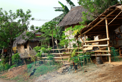 Nipa houses with typical fighting cock