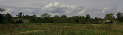 IMG_3529.JPG