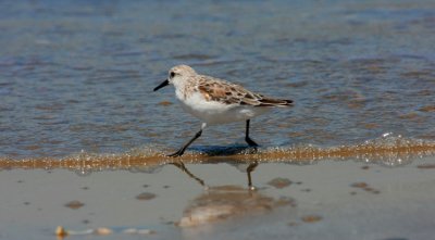 IMG_8420.JPG