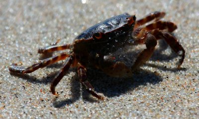IMG_6919.JPG