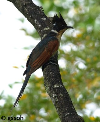 080120-CNG-43a.jpg