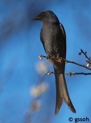 071222-DOI-81a.jpg
