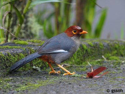 090315-KKNP-38a.jpg
