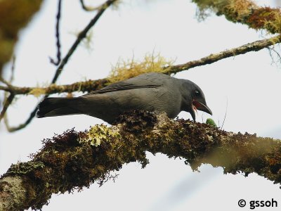 090317-KKNP-205a.jpg