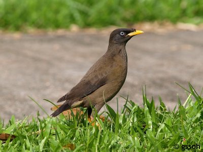 071231-CNG-18a.jpg