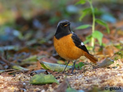 071222-DOI-45a.jpg