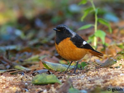 071222-DOI-44a.jpg