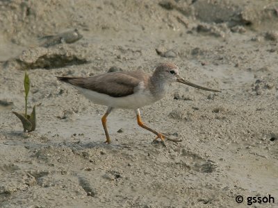 061024-PTJW-74a.jpg