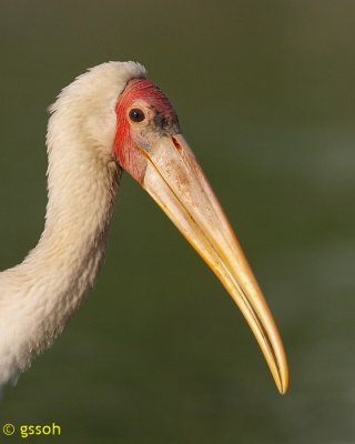 081018-CNG-28a.jpg