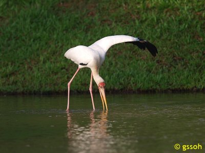 081018-CNG-57a.jpg