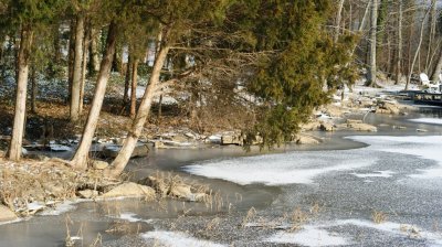 Icy Shoreline