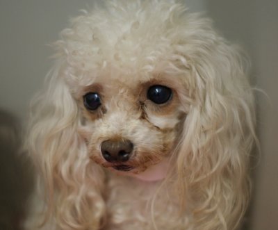 Pretty girl - hard life!