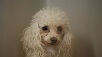Love Me, Please!
