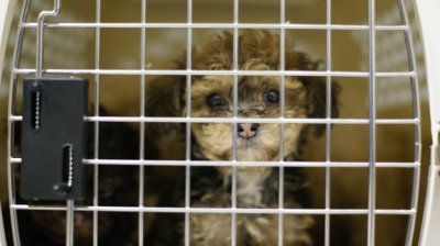 Thank you for rescuing me!