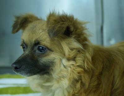 And when he looks at me...his brown eyes tell me so!
