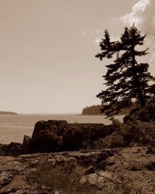Pendleton Point