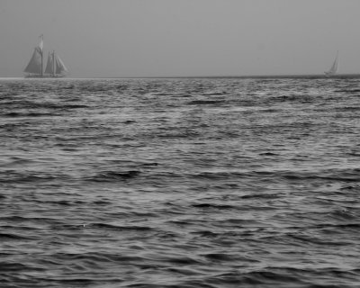 Sailboats