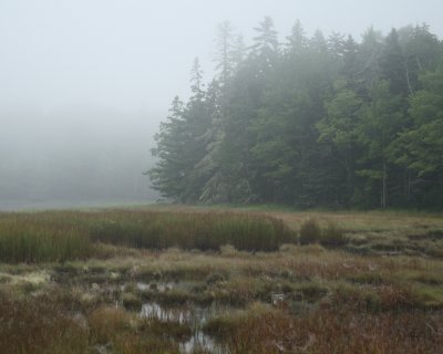 Foggy morning at the Narrows