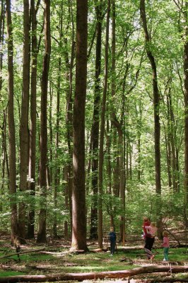 Family on trail