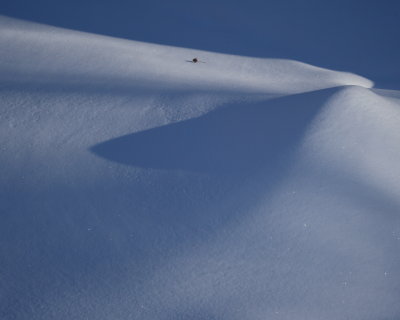 Fresh snow
