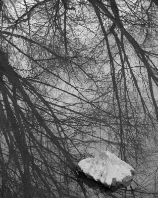 Rock in stream at Manassas