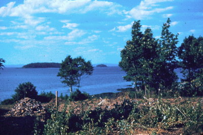 Site for the pool 1952